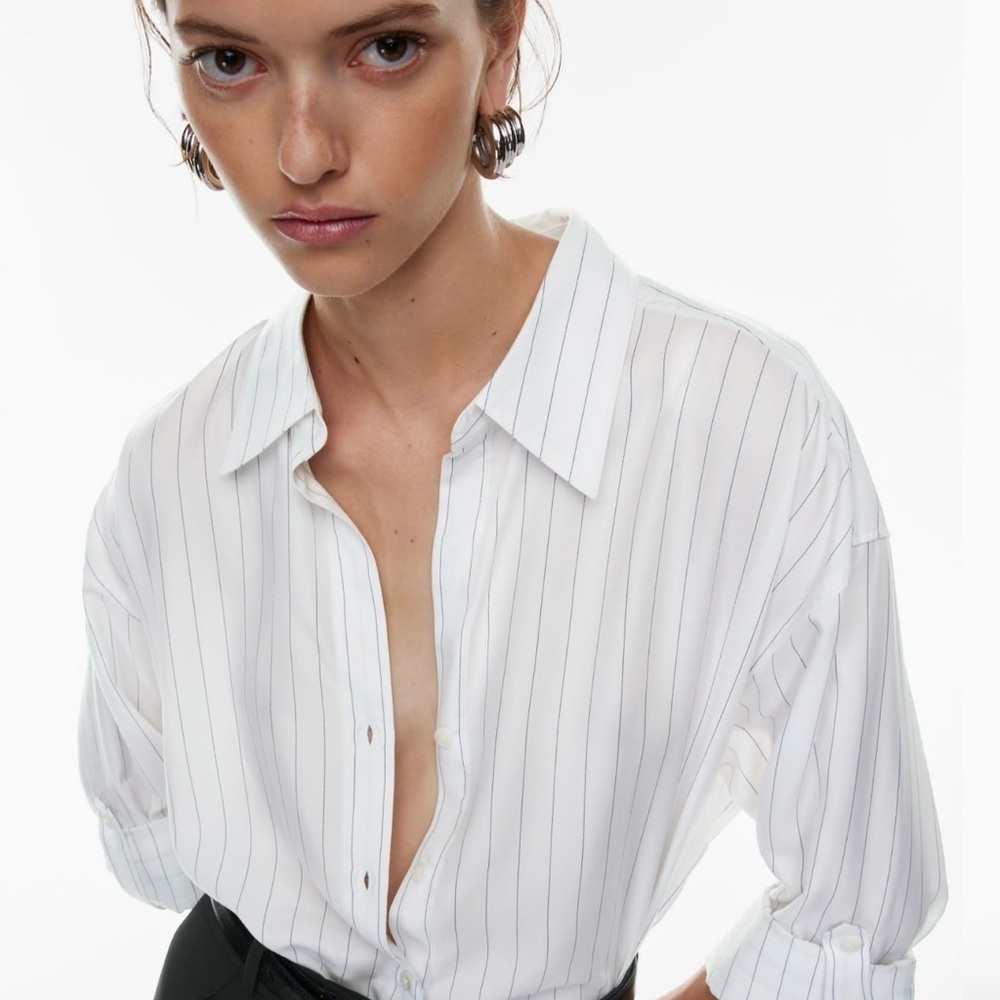 Aritzia Babaton Archive Shirt